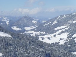 23.03.2008 Balderschwang